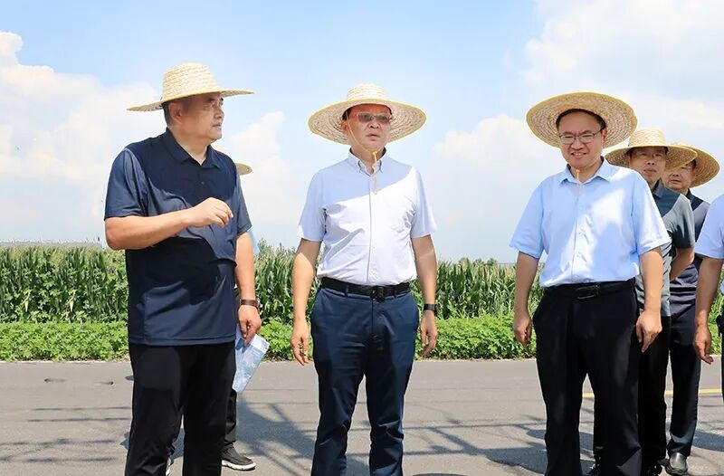 蔣曦調(diào)研高標(biāo)準(zhǔn)農(nóng)田建設(shè)工作